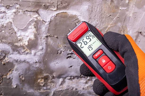Best Mold Testing  in Glade Spring, VA