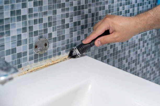 Home Mold Removal in Glade Spring, VA