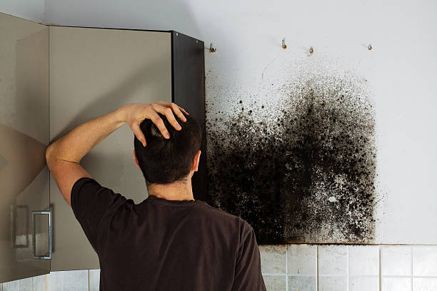 Best Mold Cleaning Services  in Glade Spring, VA